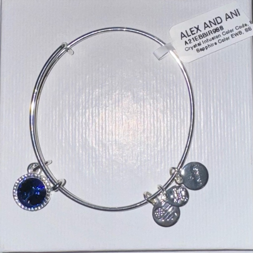 Alex and Ani Blue Bracelet